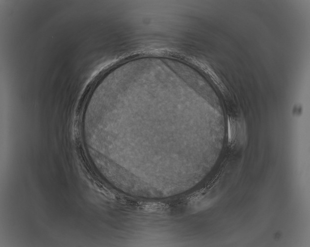 X0000097000579200803071120