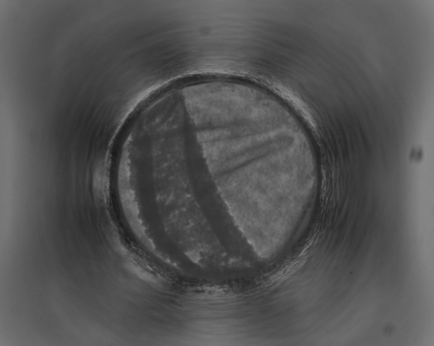 X0000097000580200803071120