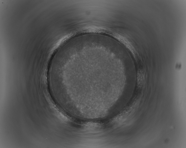 X0000097000581200803071120