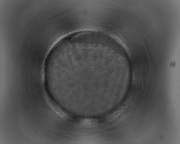 X0000097000584200803071119