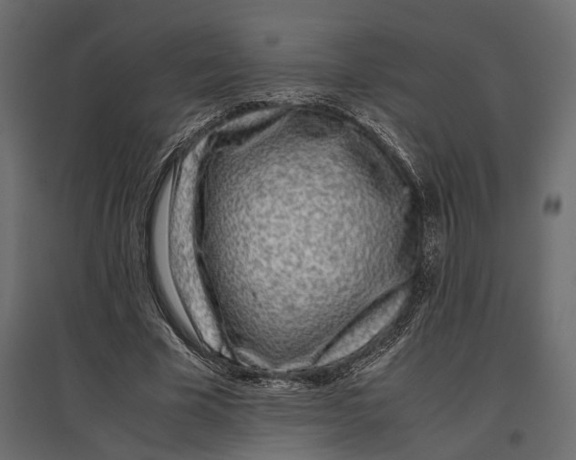 X0000097000585200803071119