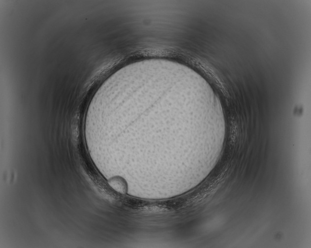 X0000097000586200803071119