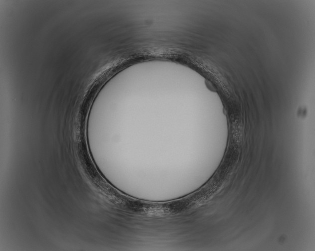 X0000097000587200803071119