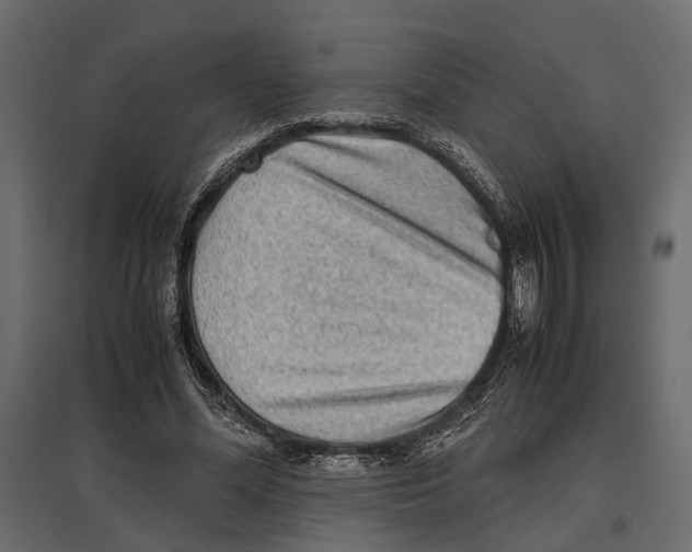 X0000097000588200803071119