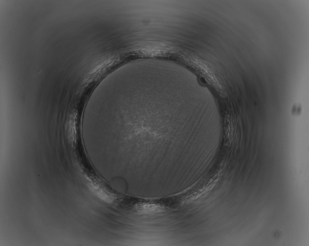 X0000097000590200803071119