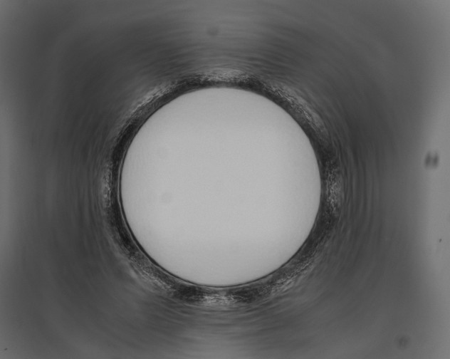 X0000097000591200803071119