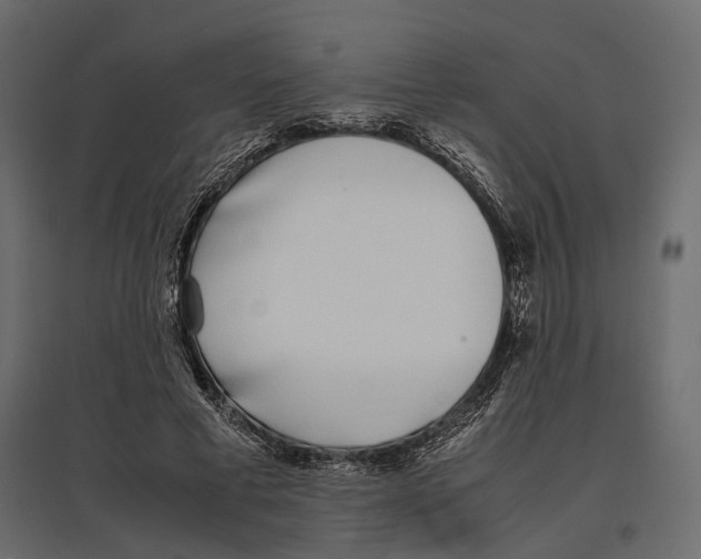 X0000097000593200803071119