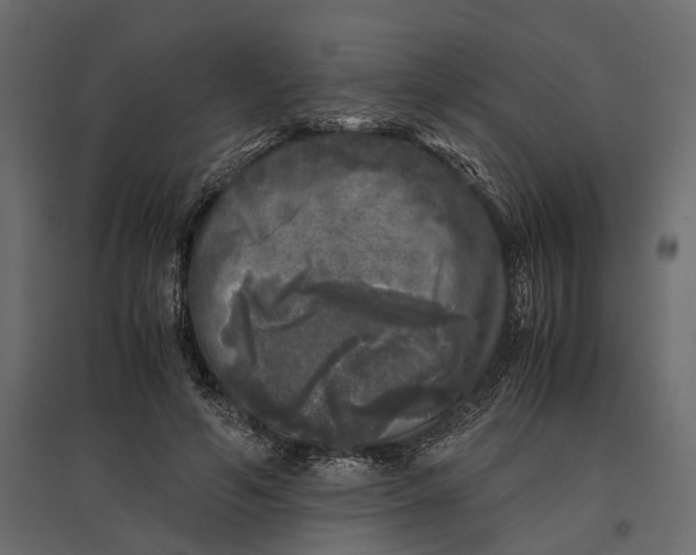 X0000097000594200803071119