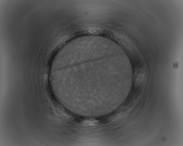 X0000097000595200803071119