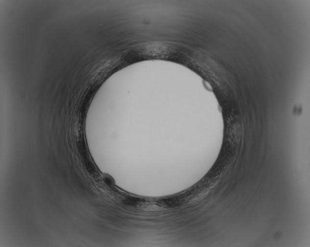 X0000097000597200803071119