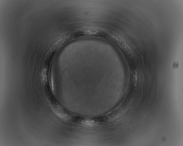 X0000097000598200803071119