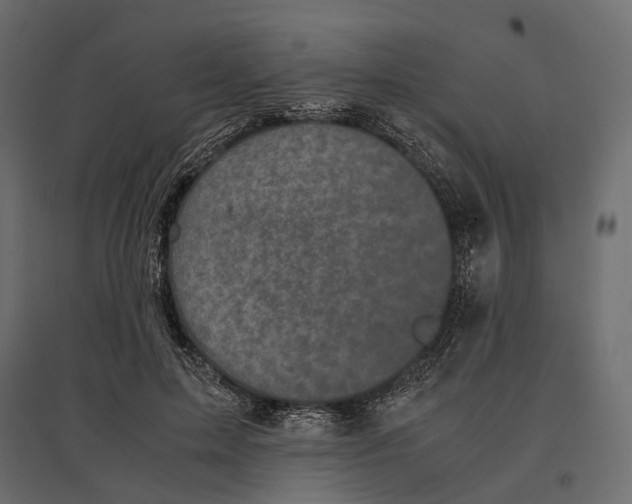 X0000097000599200803071119