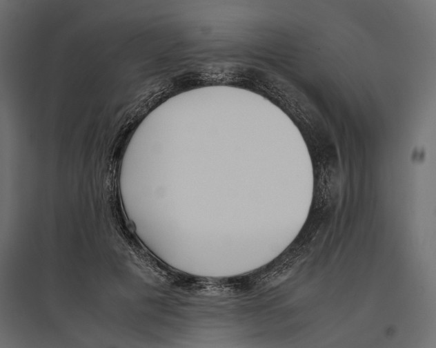 X0000097000601200803071119