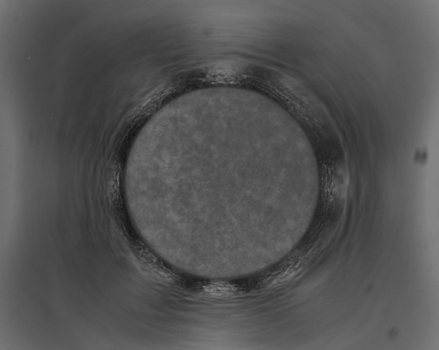 X0000097000603200803071119