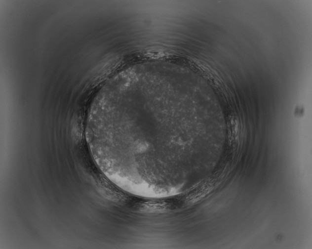 X0000097000606200803071119