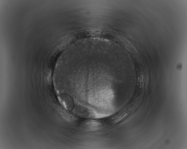 X0000097000610200803071119