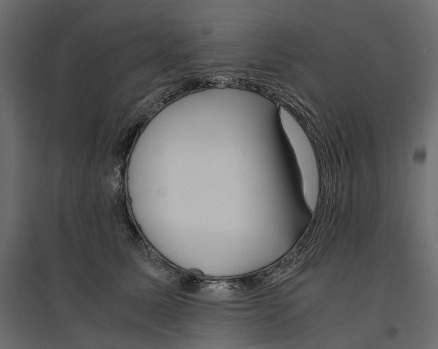 X0000097000611200803071119