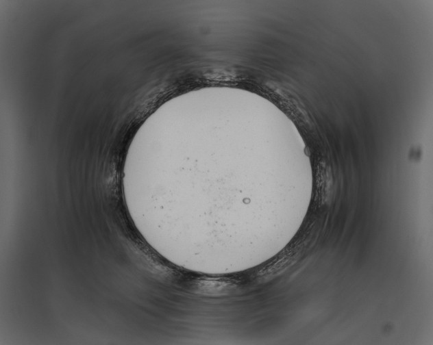 X0000097000614200803071119