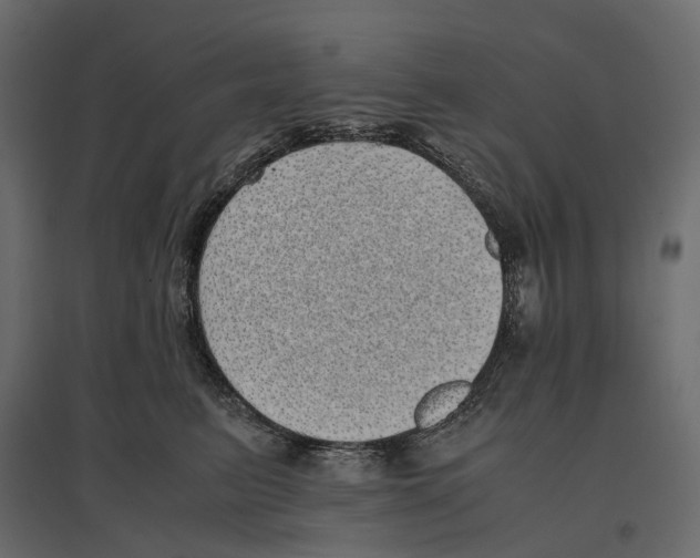 X0000097000615200803071119