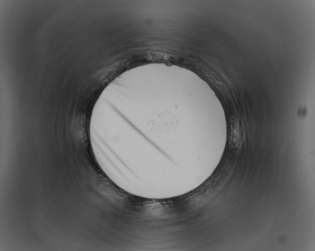 X0000097000616200803071119