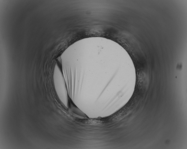 X0000097000617200803071119