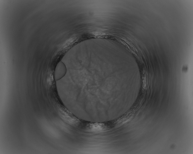 X0000097000618200803071119