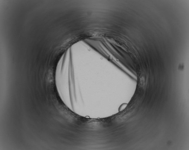 X0000097000620200803071119