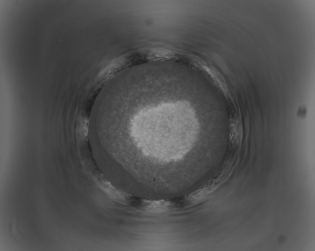 X0000097000621200803071119