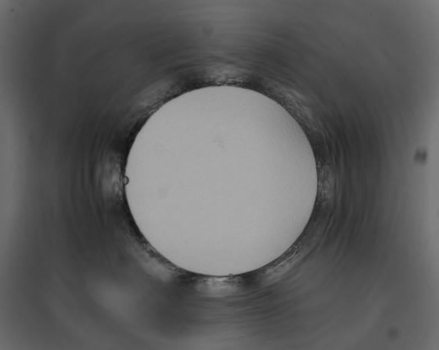 X0000097000622200803071119