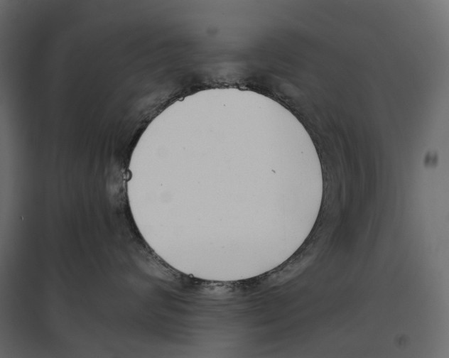 X0000097000624200803071119