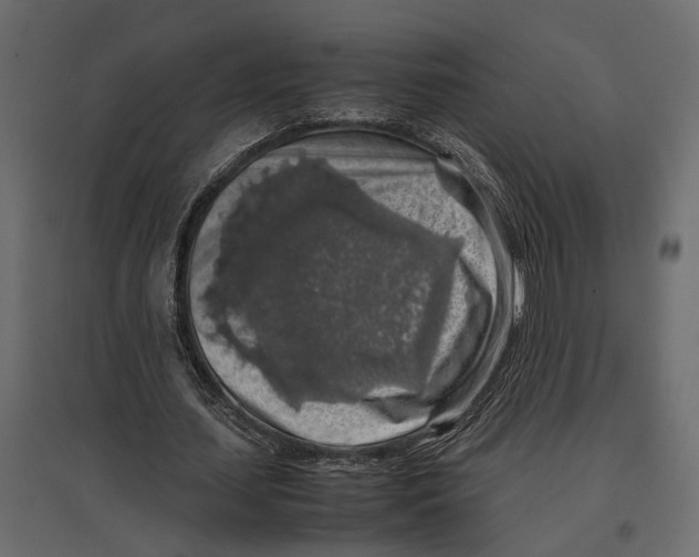 X0000097000627200803071118