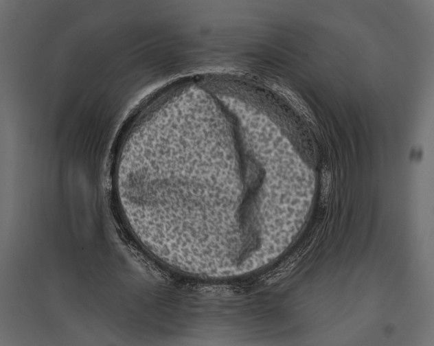 X0000097000628200803071118