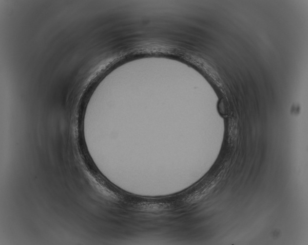 X0000097000629200803071118