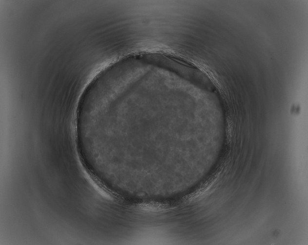 X0000097000630200803071118