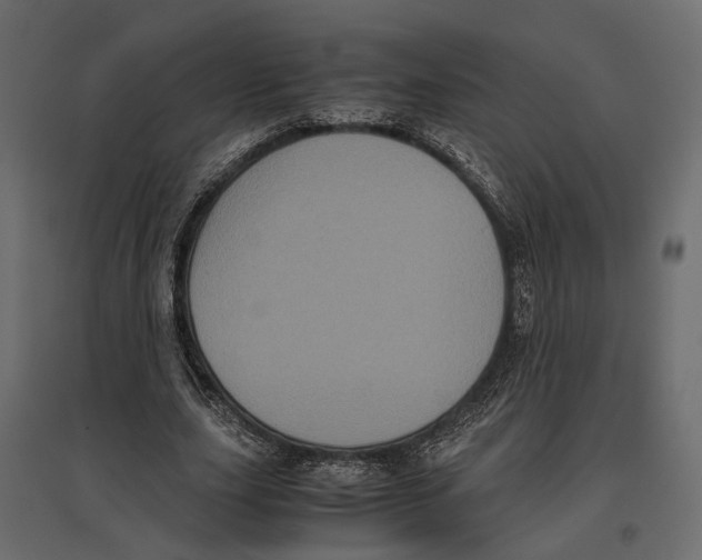 X0000097000631200803071118