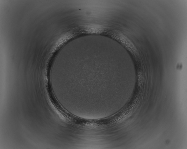 X0000097000634200803071118