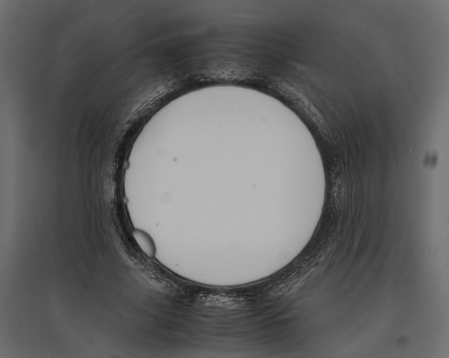 X0000097000635200803071118