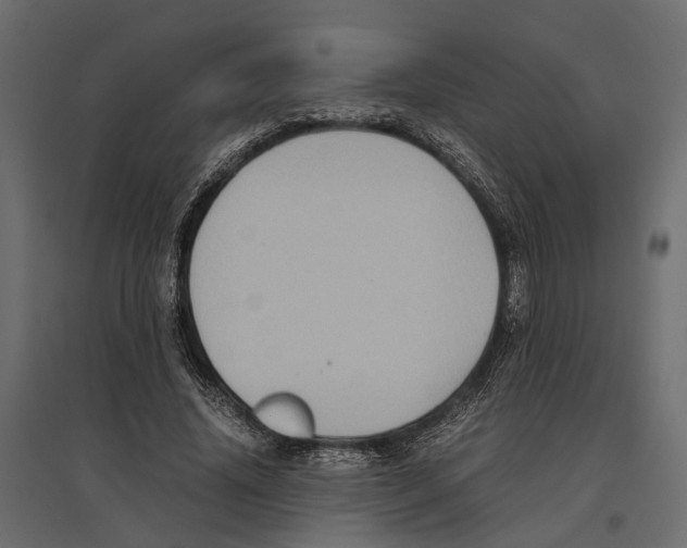 X0000097000636200803071118