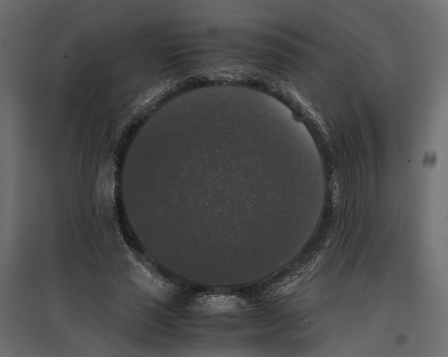 X0000097000637200803071118