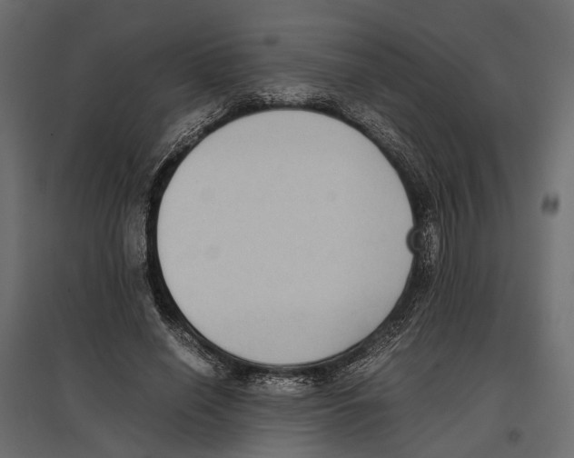 X0000097000638200803071118