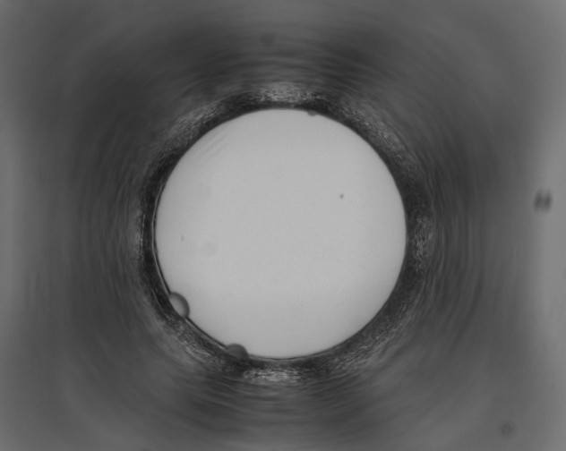 X0000097000639200803071118