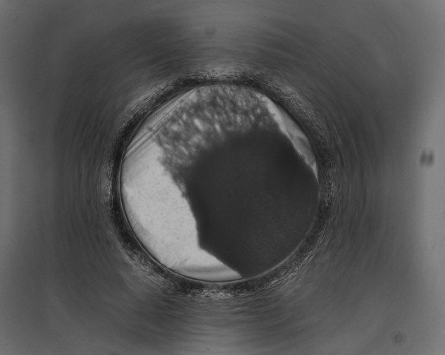 X0000097000640200803071118