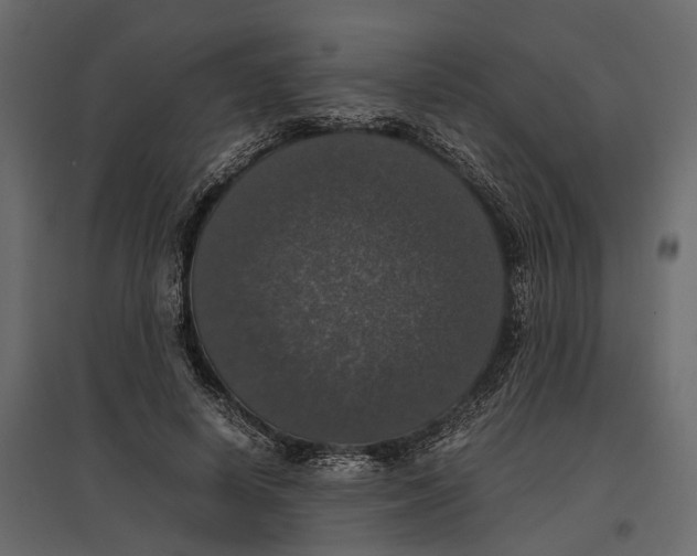 X0000097000642200803071118