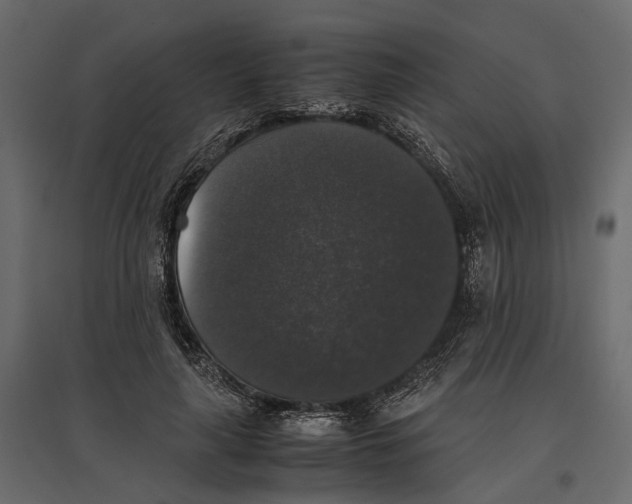 X0000097000643200803071118