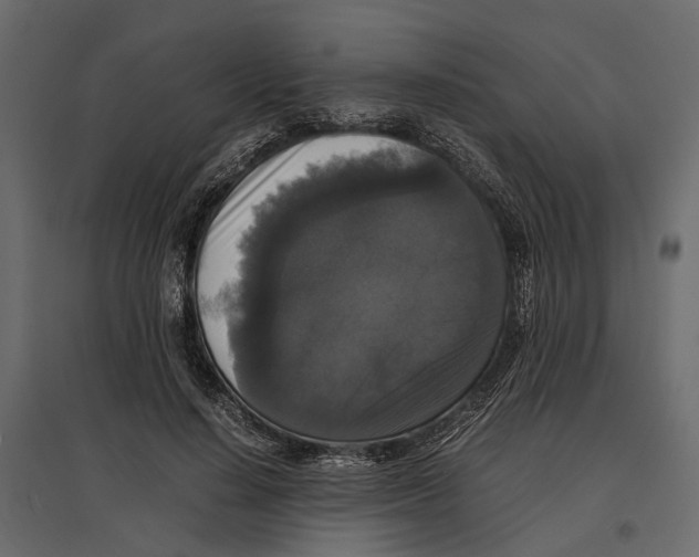 X0000097000644200803071118