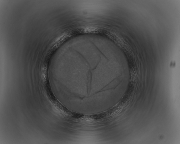 X0000097000648200803071118