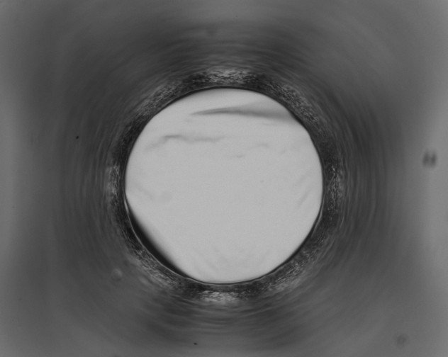 X0000097000649200803071118