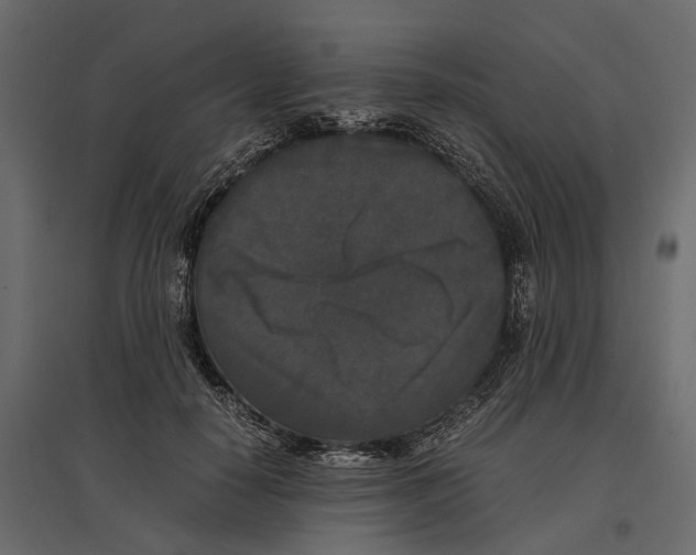 X0000097000650200803071118