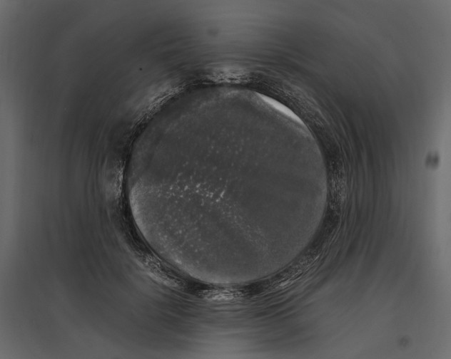 X0000097000652200803071118