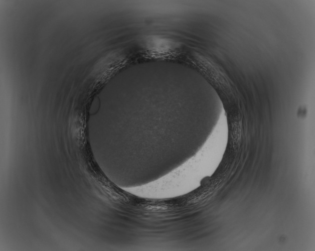 X0000097000653200803071118